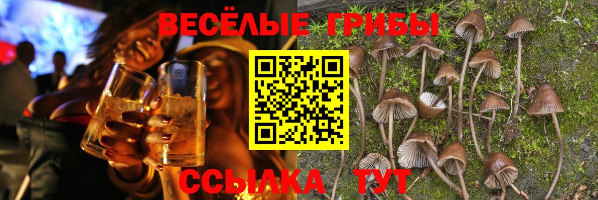 Галлюциногенные грибы мицелий Пятигорск