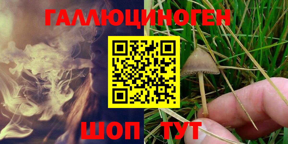 Пятигорск  Псилоцибиновые грибы мицелий  Вход с VPN 